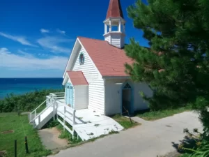 角島大浜キャンプ場 セール ペット